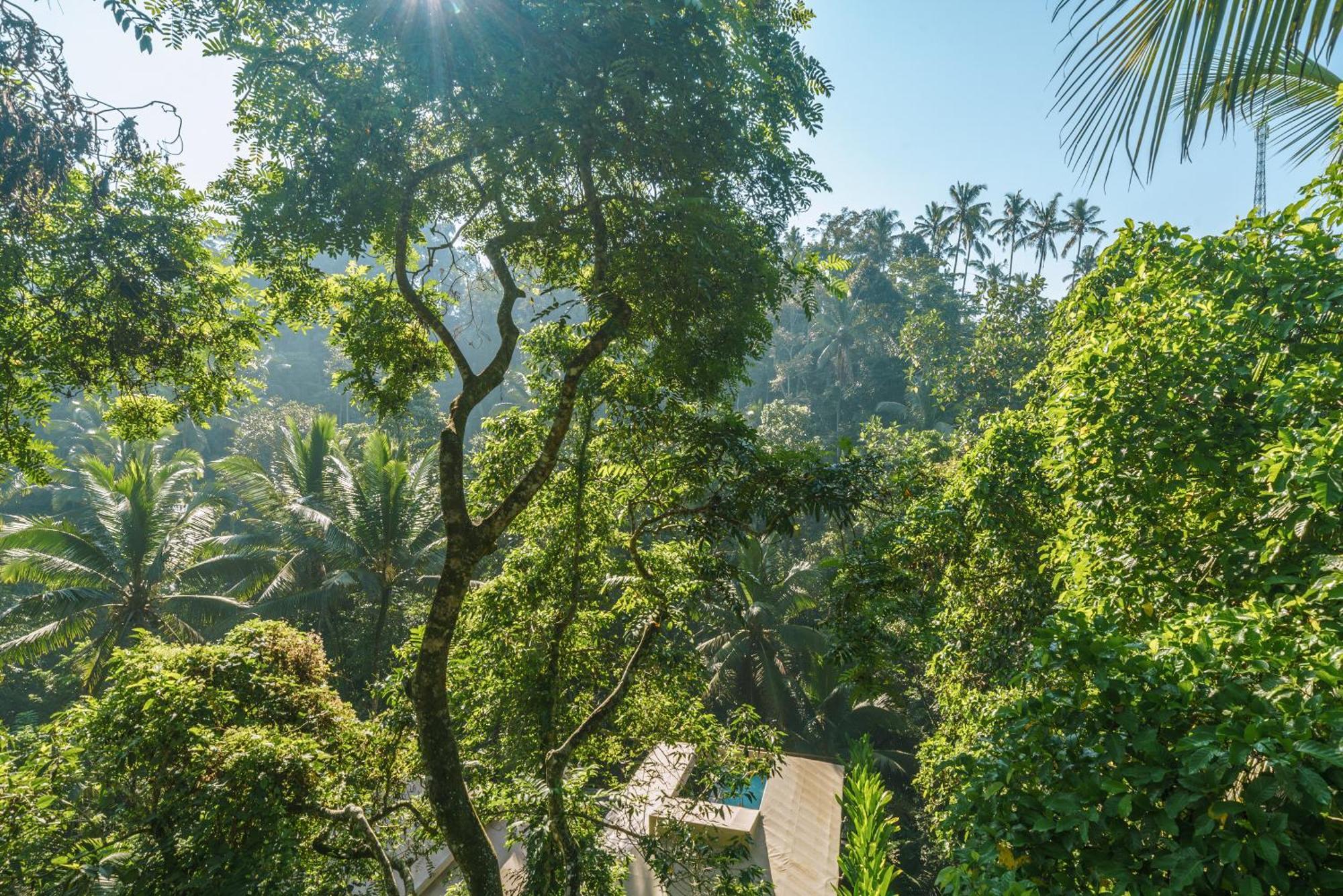 K Club Ubud الغرفة الصورة